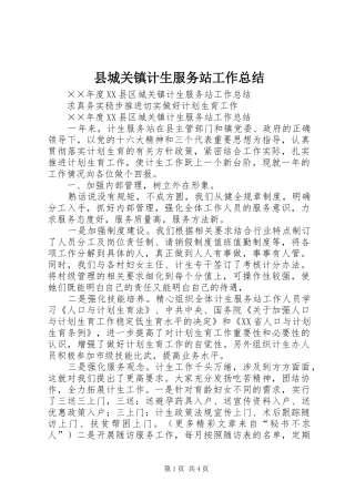 县城关镇计生服务站工作总结 