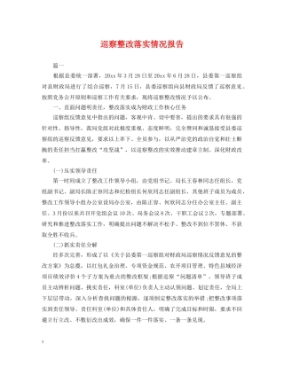 巡察整改落实情况报告 