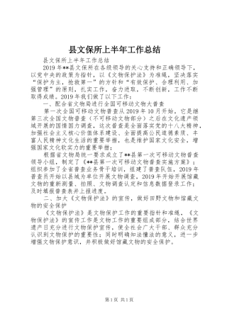 县文保所上半年工作总结 