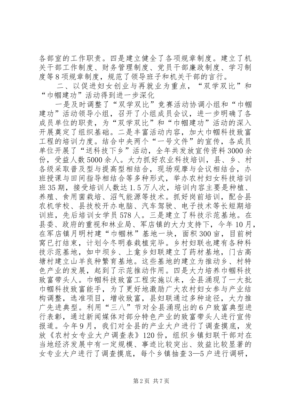 乡镇妇联工作总结 (21)_第2页
