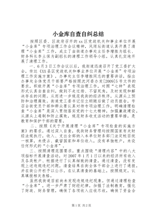 小金库自查自纠总结 