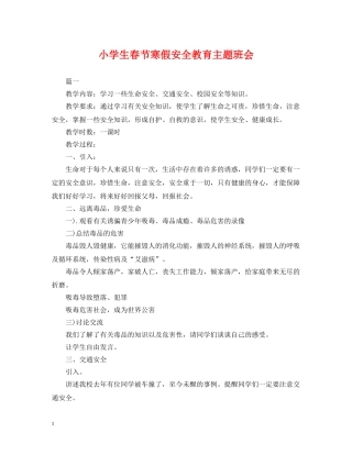 小学生春节寒假安全教育主题班会 