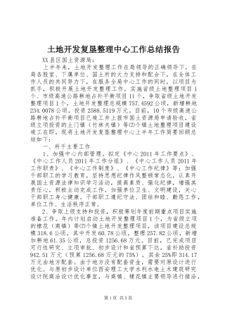 土地开发复垦整理中心工作总结报告 