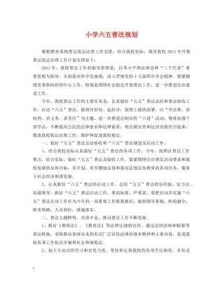 小学六五普法规划 