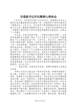 市委副书记作风整顿体会心得