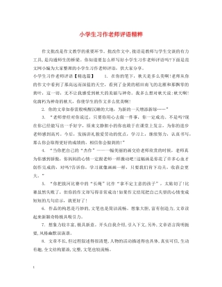 小学生习作老师评语精粹 