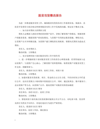 脱贫攻坚整改报告 