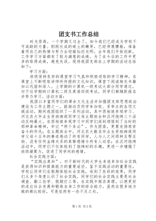 团支书工作总结 (21)