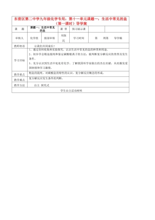 山东省东营市第二中学九年级化学下册 生活中常见的盐（第一课时）学案 人教新课标版