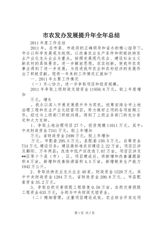 市农发办发展提升年全年总结 