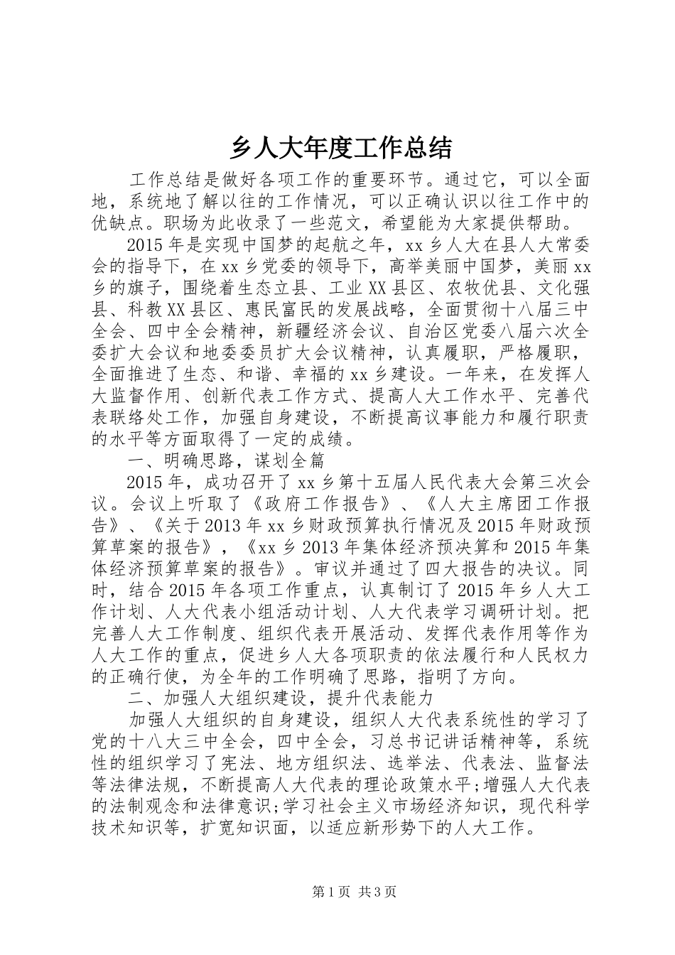 乡人大年度工作总结 _第1页