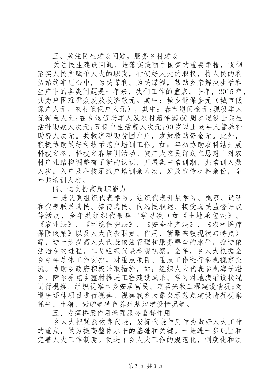 乡人大年度工作总结 _第2页