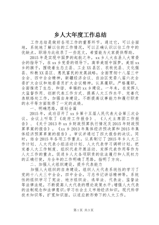 乡人大年度工作总结 