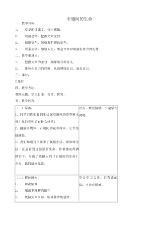 九年级语文下册石缝间的生命
