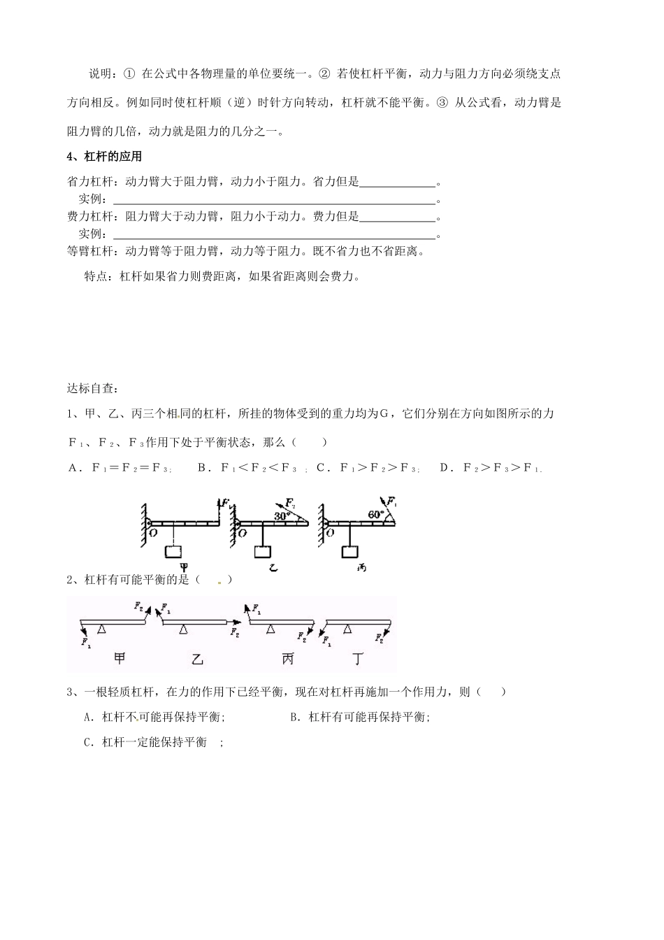 山东省胶南市隐珠街道办事处中学九年级物理《杠杆》学案_第3页