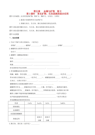 江苏省高邮市车逻初级中学九年级化学《5.3常见矿物、石灰家族的综合应用》复习学案 沪教版