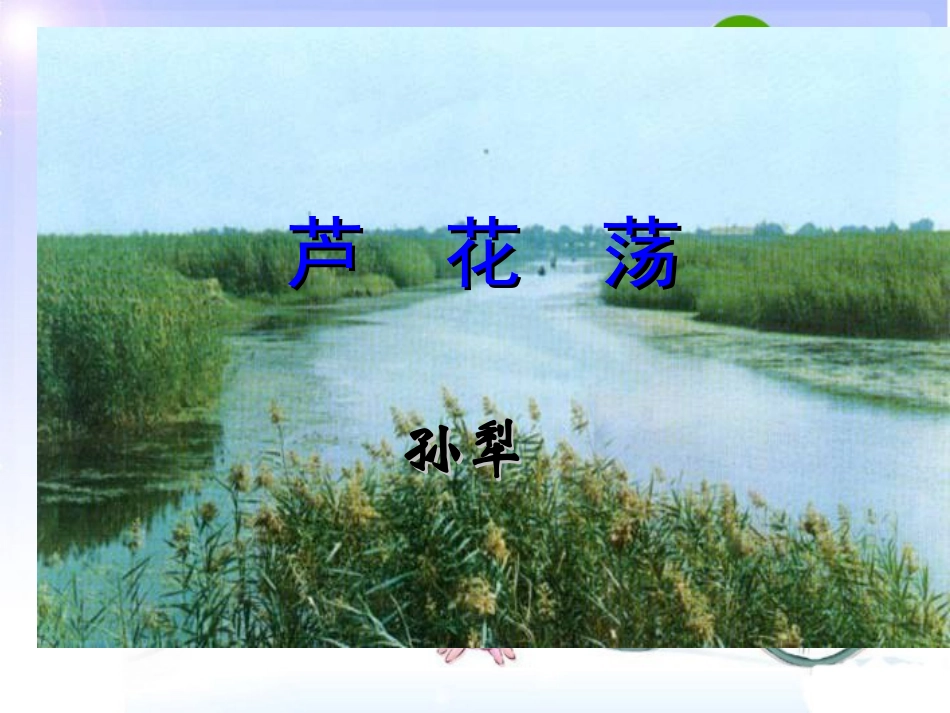 《芦花荡》1_第2页