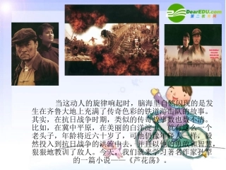 《芦花荡》1