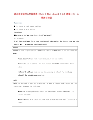 湖北省安陆市八年级英语《Unit 2 What should I do》教案（2） 人教新目标版