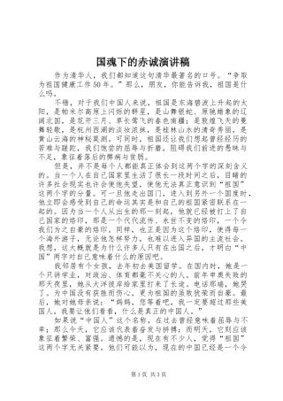 国魂下的赤诚演讲