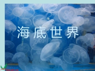 湘美版小学美术二年级下册《海底世界》PPT演示课件