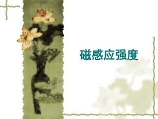 磁感应强度课件