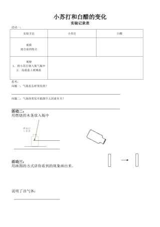 小苏打和白醋的变化实验报告单