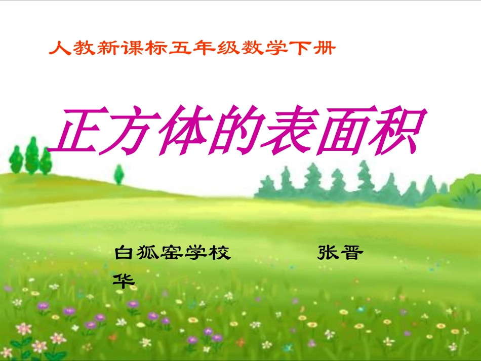 正方体的表面积(精心设计)_第1页
