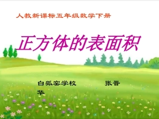 正方体的表面积(精心设计)