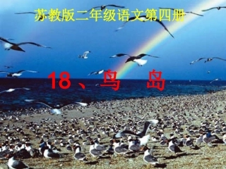 第四册18、鸟岛课件