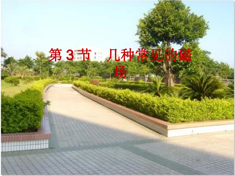 磁场7有点动画_第1页