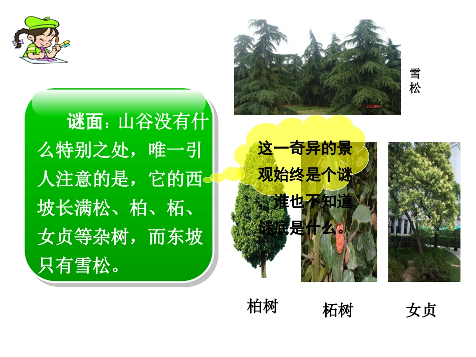 山谷中的谜底2012319_第2页