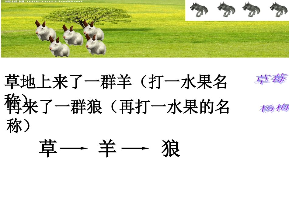 六年级科学下册《有趣的食物链》PPT课件(苏教版)_第2页