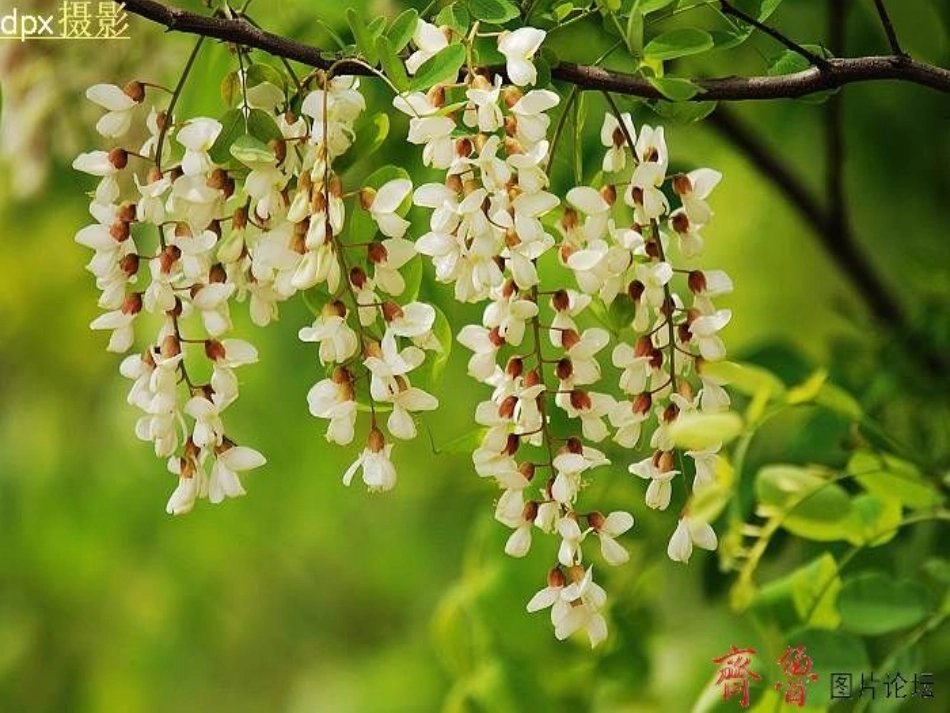 周三槐乡五月1_第2页