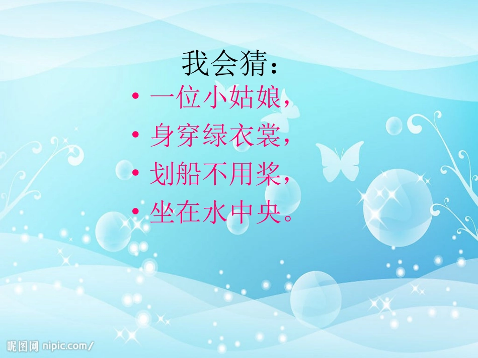 人教版一年级荷叶圆圆_第1页
