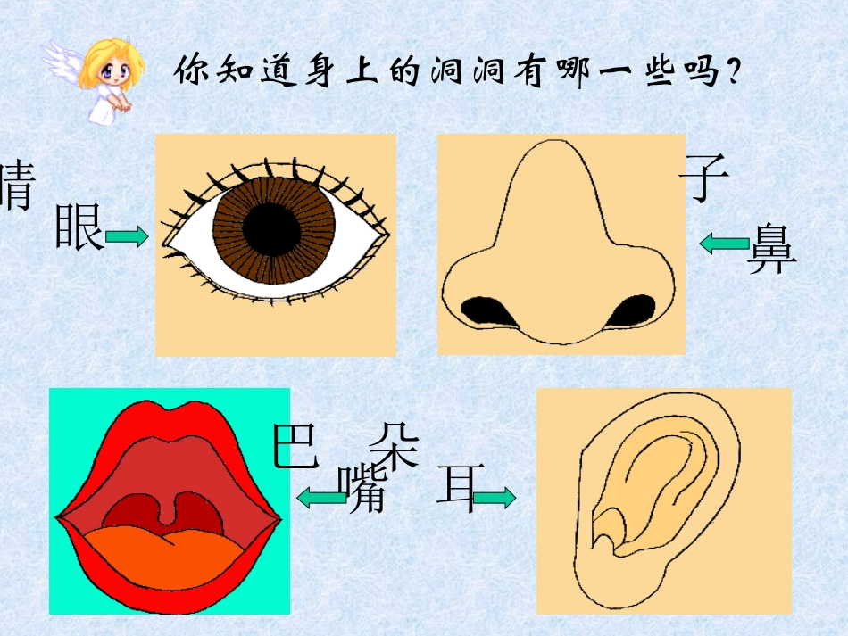 各种各样的洞洞演示文稿1_第2页