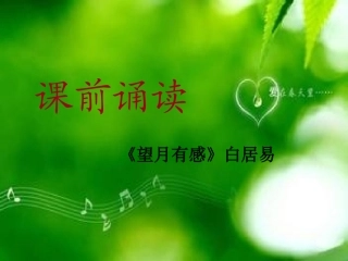 孤独之旅好可用