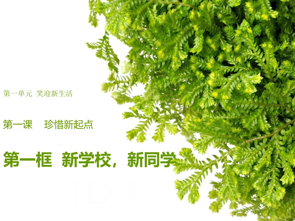 新学校新同学课件a_第1页