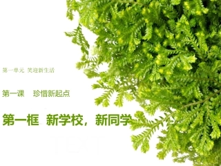 新学校新同学课件a