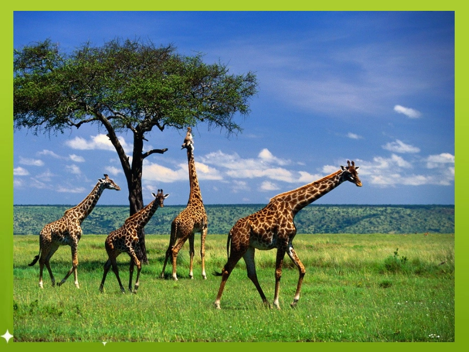 《小数的读法和写法》教学课件_第2页