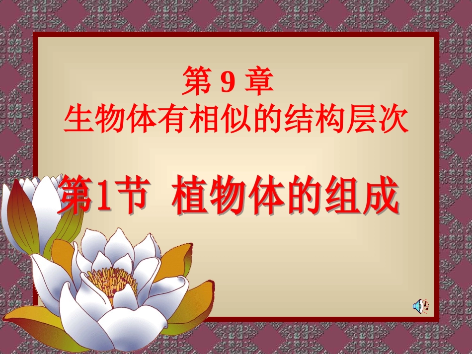 植物体的组成PPT_第1页