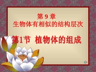 植物体的组成PPT