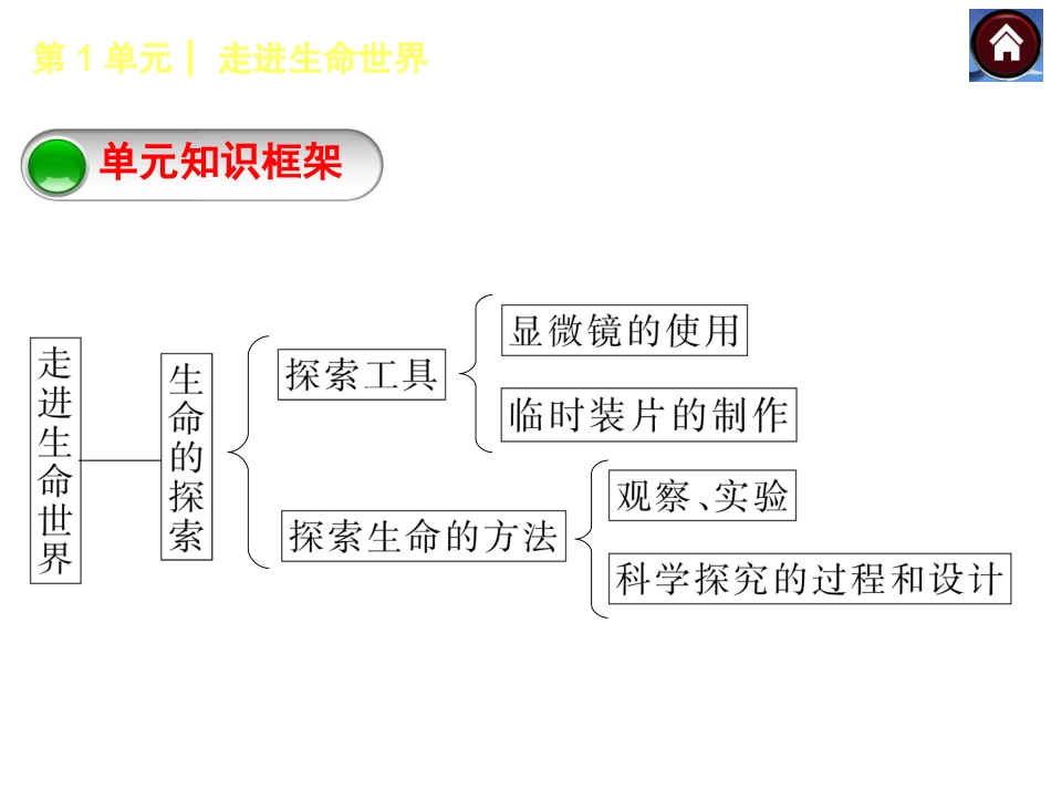 第1课时　显微镜的使用与科学探究（共18张PPT）_第2页