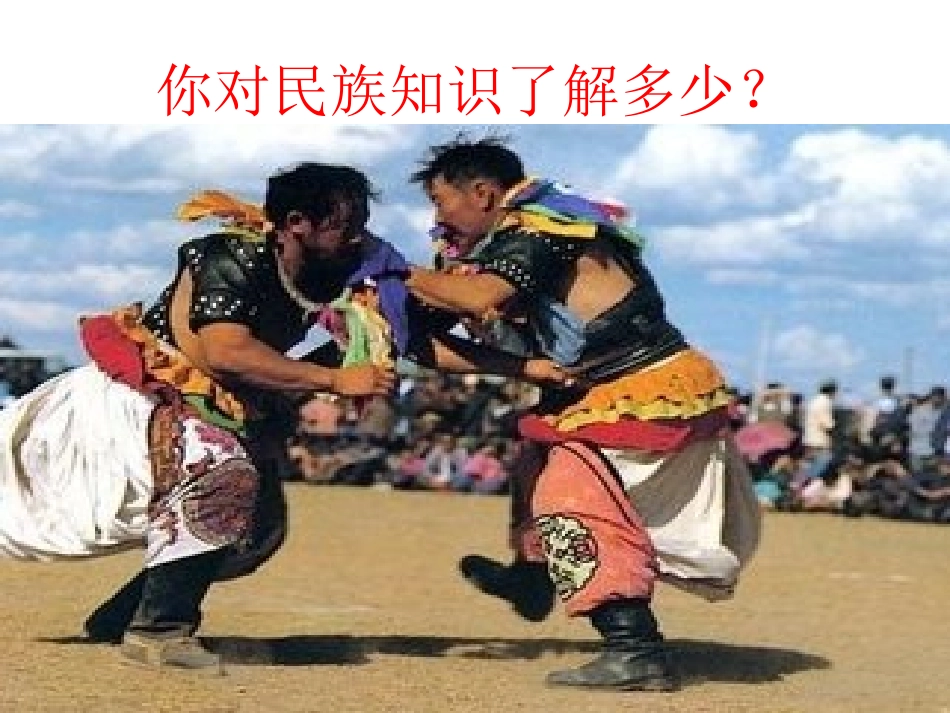 初二历史民族团结课件_第2页