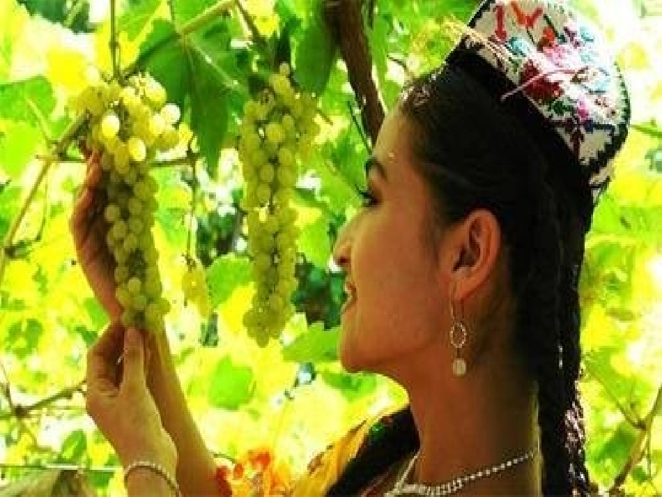 初二历史民族团结课件_第3页