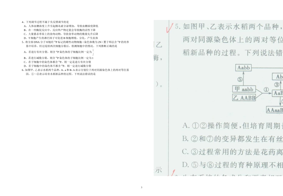 生物试题1314_第3页