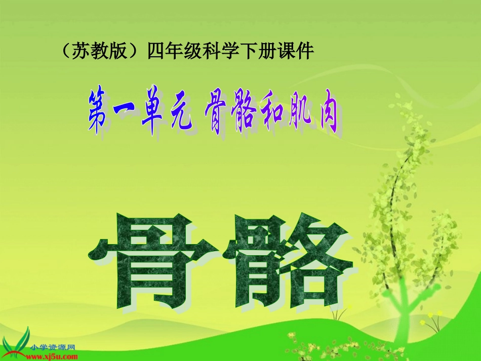 （苏教版）四年级科学下册课件11骨骼_第1页