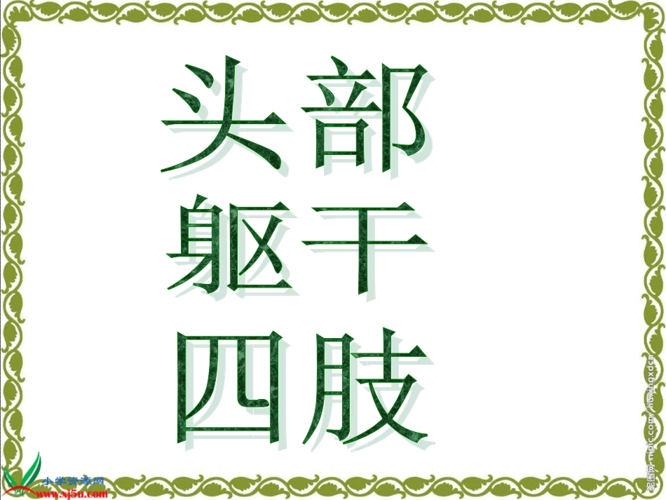 （苏教版）四年级科学下册课件11骨骼_第2页