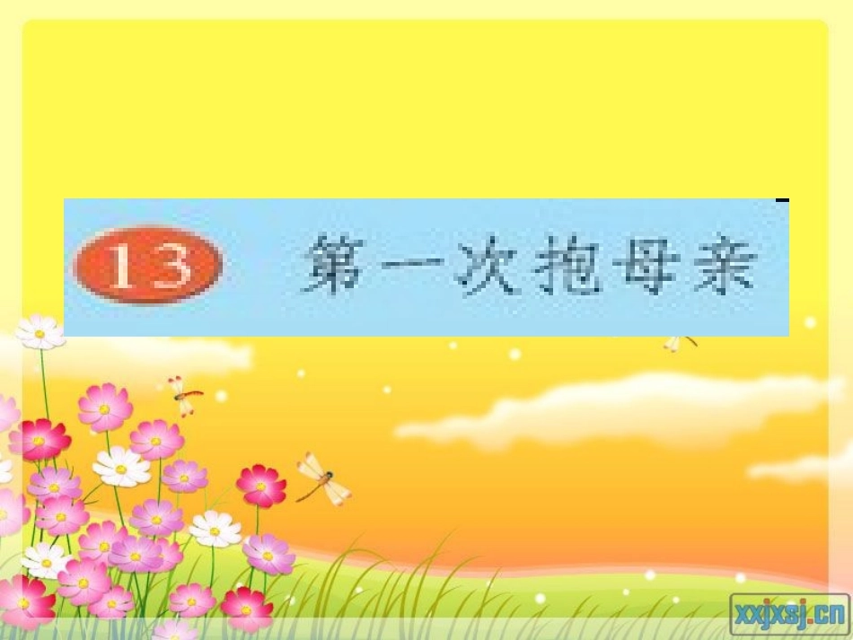 第一次抱母亲课件_第1页