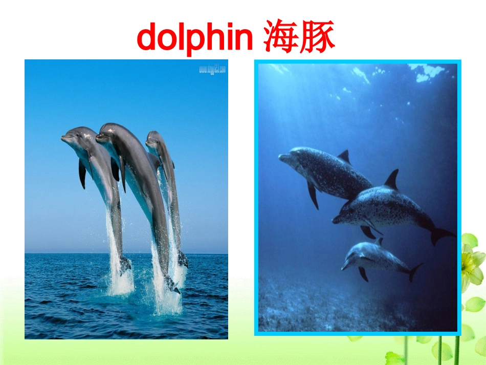 选修七_unit3_under_the_sea_改_第2页